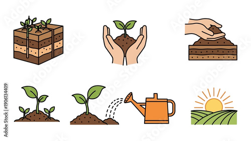 Illustration of a seedling growth process from planting to nurturing in a garden environment viewed from above