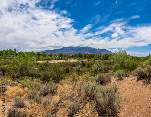  New Mexico, Rio Grande  river , Blue Sky with white clouds ,Sandy soil and green vegetation