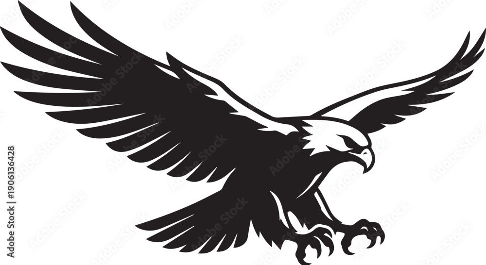 Obraz premium Soaring bald eagle with talons out, fierce and majestic black and white vector illustration
