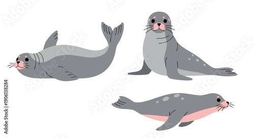 Adorable set of three cartoon harbor seal pups illustrated in various playful resting positions