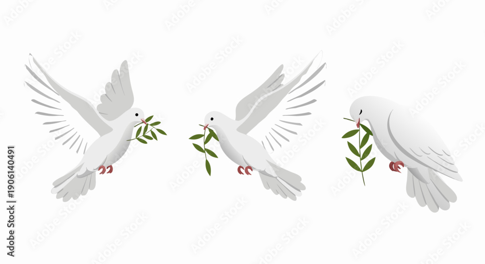 Fototapeta premium Three white doves flying gracefully while each bird carries a single green olive branch symbol for peace