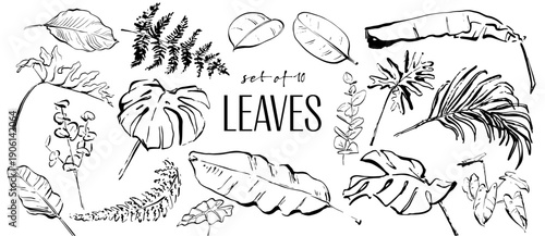 Tropical Leaves Line Art Collection - Hand Drawn Botanical Foliage Vector Bundle