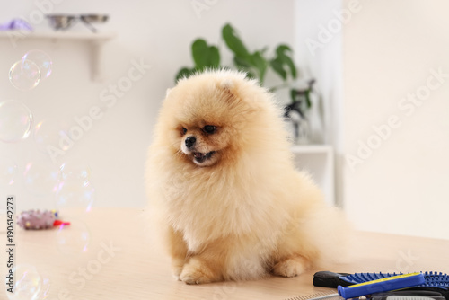 Cute dog with soap bubbles ...