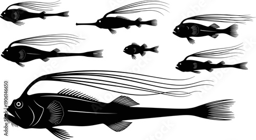 Deep sea anglerfish silhouettes set, black vector illustration of bioluminescent ocean fish for marine life design, science education, and aquatic branding