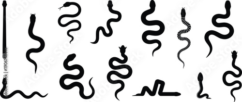 Different snake silhouettes vector illustration, reptile animal design collection, serpent shapes set for wildlife concept, zoology and nature graphic elements, black silhouette art
