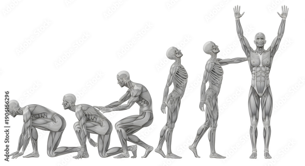 Obraz premium Journey from struggle to strength, depicted through a series of human figure illustrations, culminating in a pose of triumph and power.