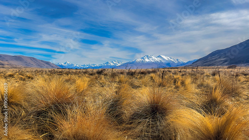 Tussock grasses on the shore of Lake Emma in the Ashburton Lake  district