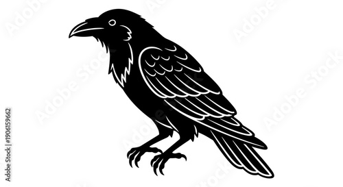 Black crow silhouette profile illustration.