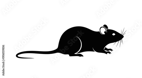 Black Silhouette of a Mouse 1.