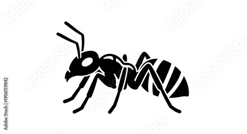Black Silhouette of an Ant.