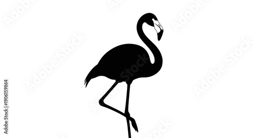 Black Silhouette of Flamingo Standing Alone.