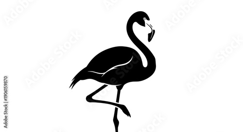 Black Silhouette of Flamingo Standing.