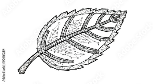 Green leaf biology botanical sketch illustration