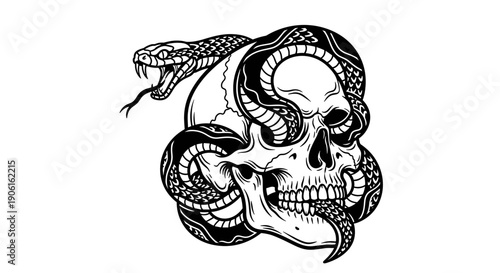 Snake Wrapped Around Human Skull Illustration.