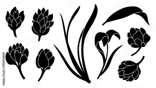 Artichoke Thistle and Botanical Silhouettes Set Elegant Floral Graphic Elements
