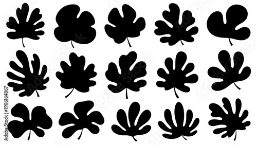 Collection of Silhouetted Monstera Leaves on a White Background