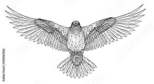Bald eagle flying wings spread wildlife sketch