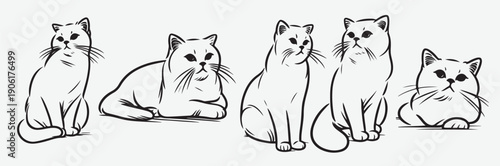 charming cat line art series minimalist and expressive poses