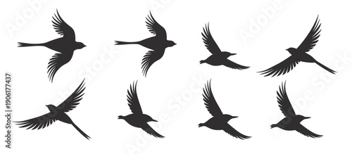 flock of birds silhouette isolated on white background 