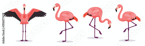 four pink flamingos in various poses and actions 