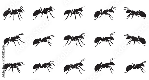 ant silhouettes collection. various ant set vector icons on white background