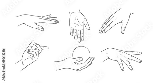 A collection of six detailed line art illustrations showcasing various human hand gestures and poses from different angles.