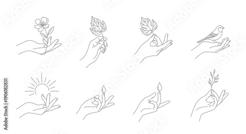 Set of minimalist line art illustrations depicting hands gently holding various natural elements like flowers, leaves, birds, and plants, symbolizing nature, growth, and care.