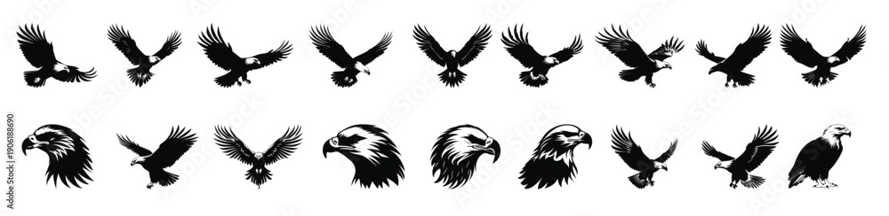 Obraz premium bald eagle silhouette clipart bundle