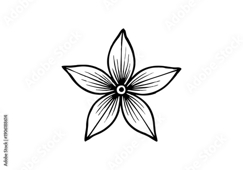 Pentas Flower Hand Drawn Illustration Vector by AZ for Books, Arts, Design and Decoration Graphic Asset