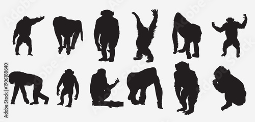  ape silhouette set