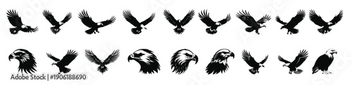 bald eagle silhouette clipart bundle