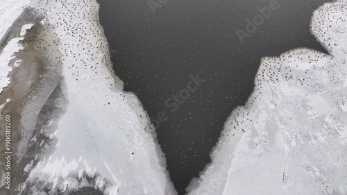 Aerial Vistula River ice water winter ducks Poland overhead 4K. Winter season cold arctic temperatures, ice flows and dangerous ice jams. Longest river in Poland. To Baltic Sea. Transportation.