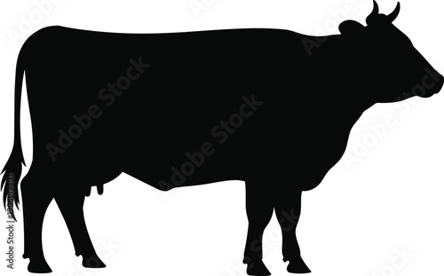 Cow silhouette vector illustration, black isolated cattle icon, farm livestock animal graphic, dairy cow profile, rural agriculture symbol, editable clipart design