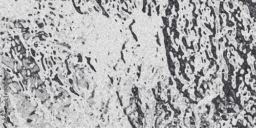 Black and white abstract texture resembling porous rock or organic cellular structures with irregular shapes and granular detail creating a naturalistic pattern