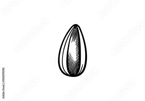 Sunflower Hand Drawn Illustration Vector by AZ for Books, Arts, Design and Decoration Graphic Asset