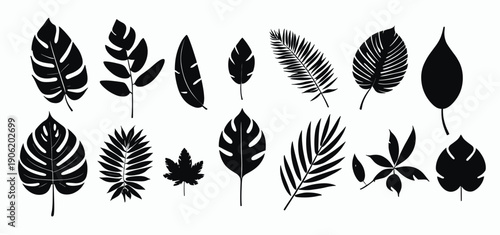  exotic leaf set d collection of tropical leaves silhouette