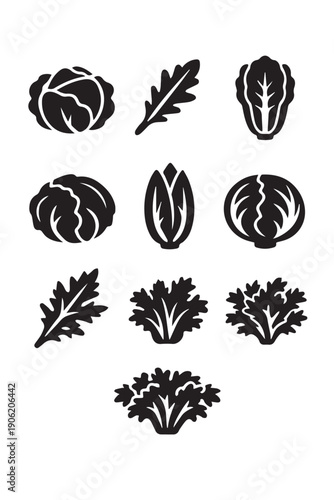 A clean vector icon collection of cabbage and salad vegetables in multiple shapes, created with simple outlines to symbolize freshness, healthy eating, organic food, and daily nutrition habits.