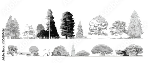 Zestaw szczegółowych szkiców drzew w stylu minimalistycznym, idealny do wizualizacji architektonicznych, zawierający przezroczysty element i różne formy.