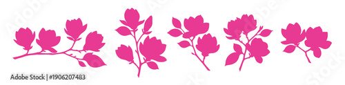  decorative magnolia blooms presented in a minimal colored 