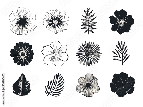 Kolekcja minimalistycznych szkiców botanicznych zawierająca różne kwiaty oraz liście, doskonała jako element dekoracyjny na przezroczysty podkład.