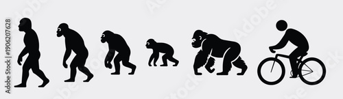 evolution of man illustrated with transition from ape like 