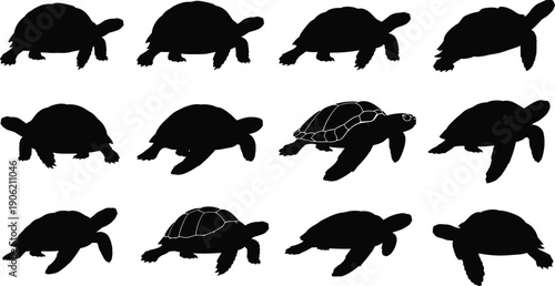 Collection of sea turtle and tortoise silhouettes in various poses, some showing shell pattern detail, perfect for underwater wildlife vector illustration content.
