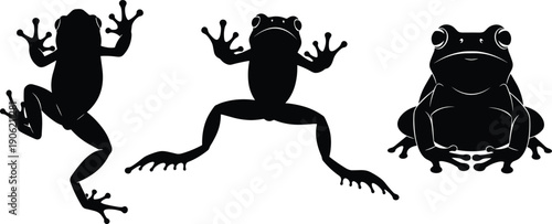 Collection of three black frog silhouettes in jumping, swimming and sitting poses, vector illustration of wild amphibians isolated on white background