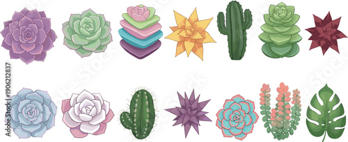 Colorful succulent and cactus illustration set featuring diverse potted plants, flat vector botanical elements isolated on white background for home decor design projects