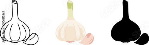 Fresh whole garlic bulb and clove for cooking