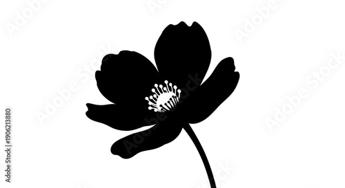A black silhouette flower with detailed center on a plain white background viewed from the side