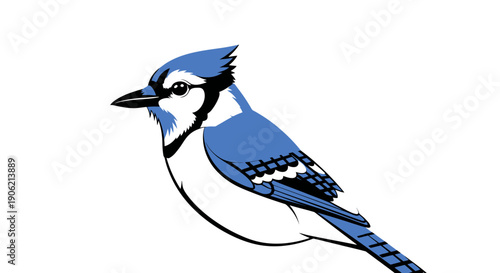 A blue jay perched on a branch, viewed from the side, showcasing its vibrant feathers and distinctive crest in a graphic illustration
