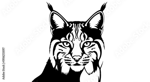 A detailed black and white illustration of a lynx facing forward with piercing eyes and distinctive fur patterns