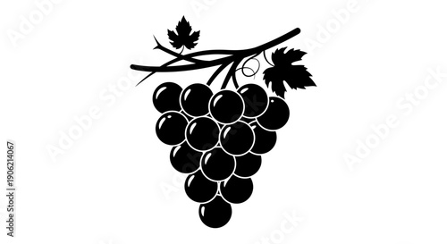 A black silhouette illustration of a grape cluster with leaves on a stem, viewed from the front.