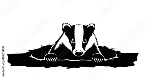 A black and white badger illustration peeking out from a burrow, viewed from the front.